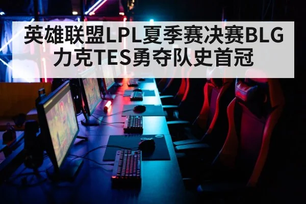 英雄联盟LPL夏季赛决赛BLG力克TES勇夺队史首冠